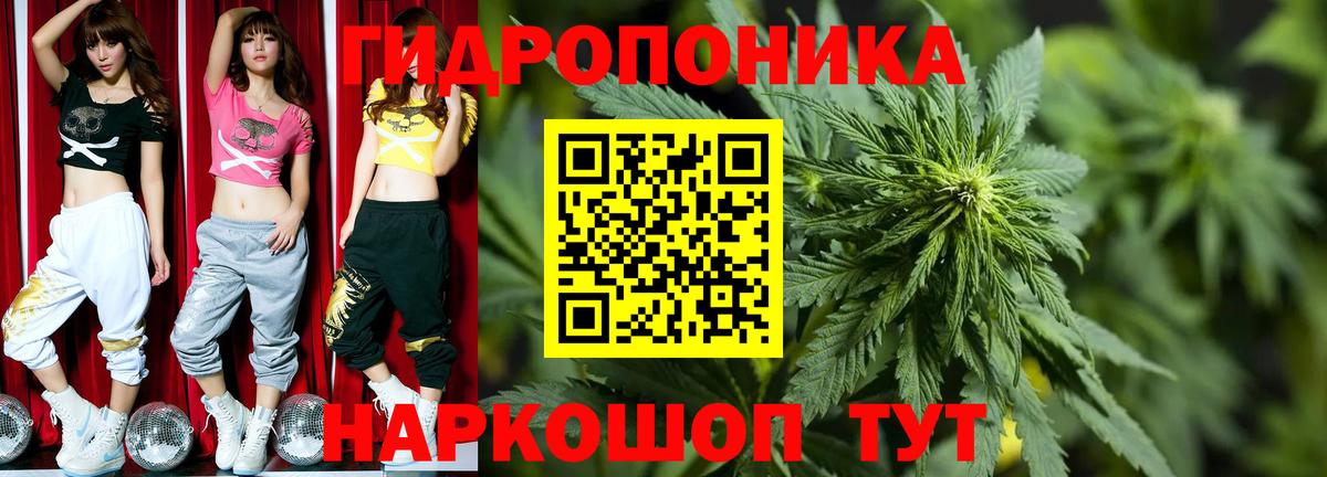 Кимры  Марихуана план  Вход с VPN  Каннабис план 