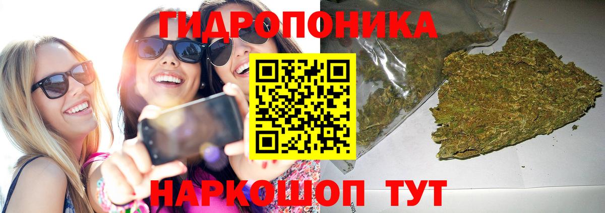 Конопля гибрид Кимры